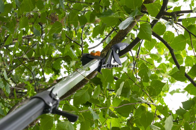 Pruning Equipment in Use