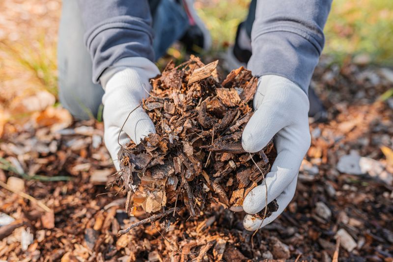 Black Mulch Installation in Honolulu, HI