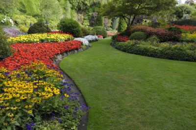 Business Landscape Design in Honolulu, HI