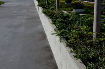 Concrete Curbing Installation in Honolulu, HI