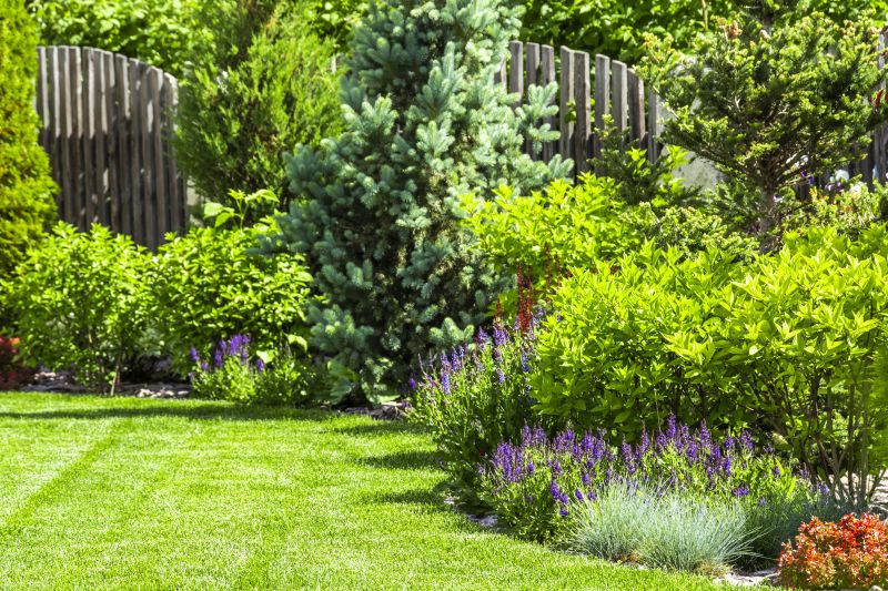 Cypress Mulch Installation in Ventura County, CA