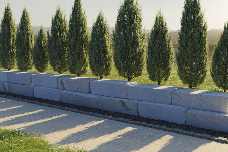 Dryscape Landscaping in Ventura County, CA