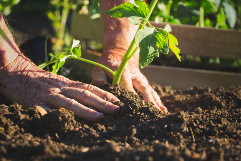 Garden Care Service in Honolulu, HI