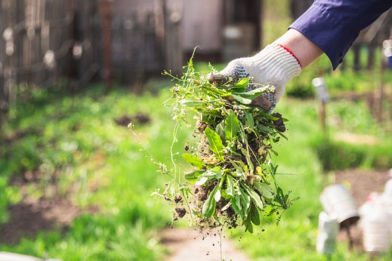 Garden Maintenance Service in Honolulu, HI