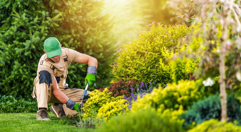 Landscape Planting Service in Ventura County, CA