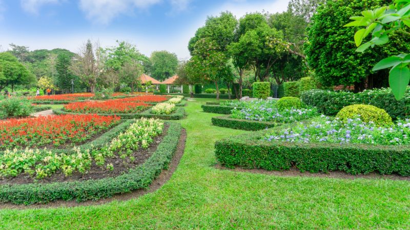 Privacy Shrub Installation in Ventura County, CA