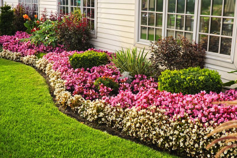 Privacy Shrub Planting in Honolulu, HI