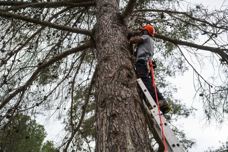 Reduces risk of breakage