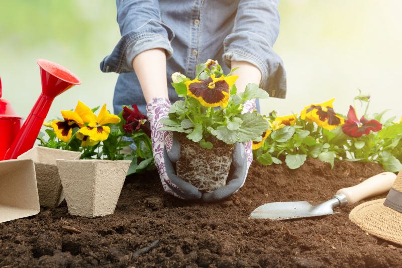 Perennials Planting in Honolulu, HI